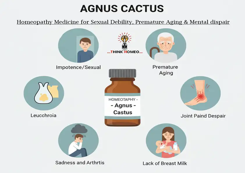 Agnus Castus – एगनस कैस्टस